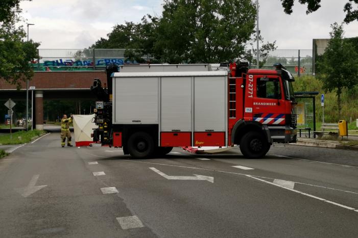 Loslopend paard aangereden door vrachtwagen