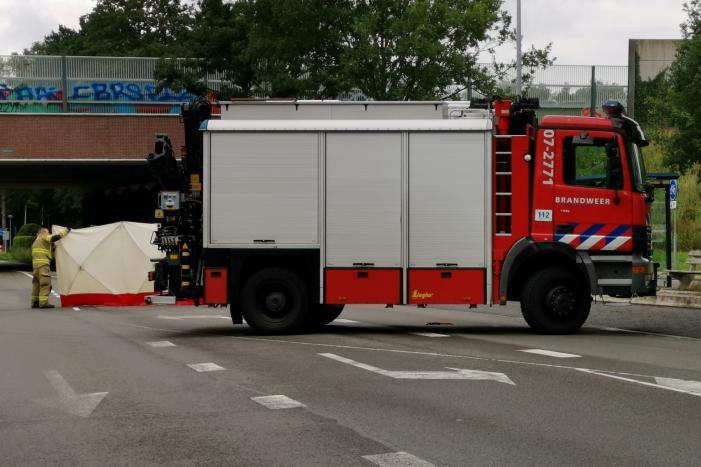 Loslopend paard aangereden door vrachtwagen