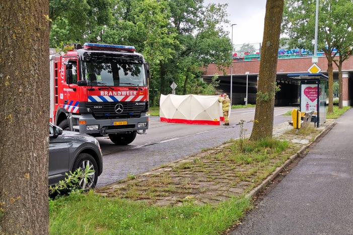 Loslopend paard aangereden door vrachtwagen