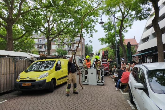 Gevaarlijke hangende takken verwijderd boven marktkraam