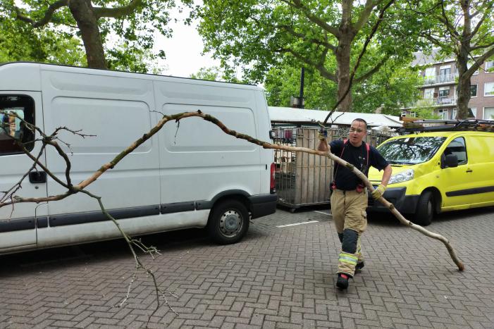 Gevaarlijke hangende takken verwijderd boven marktkraam