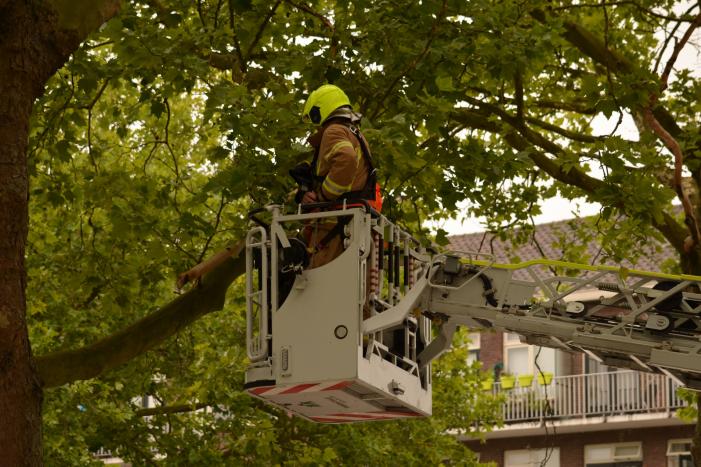 Gevaarlijke hangende takken verwijderd boven marktkraam