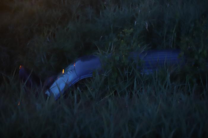 Bestelbus vliegt over de vangrail belandt in riet