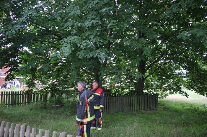 Brandweer bevrijdt meisje uit hoge boom