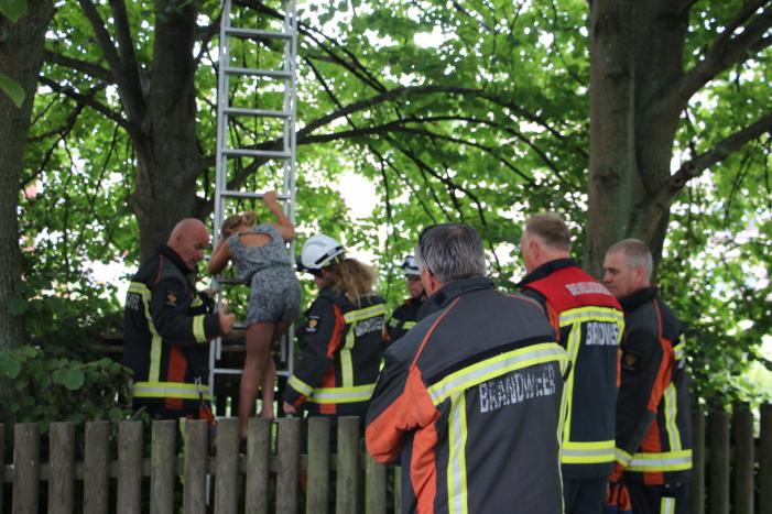 Brandweer bevrijdt meisje uit hoge boom
