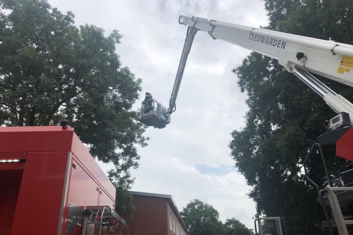 Papagaai met hoogwerker uit de boom gehaald