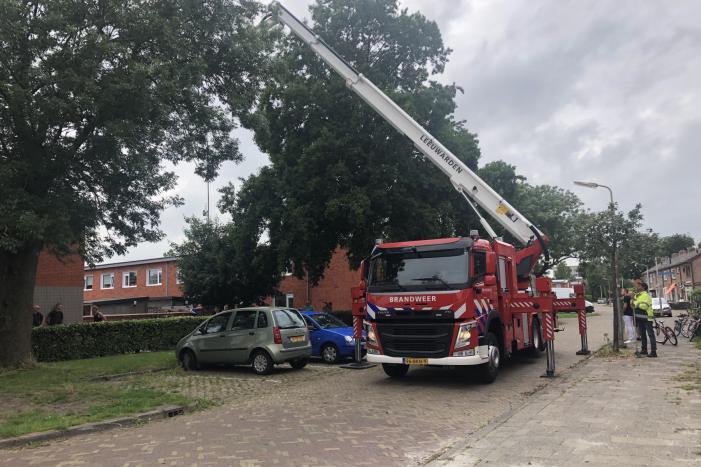 Papagaai met hoogwerker uit de boom gehaald