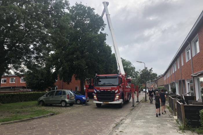 Papagaai met hoogwerker uit de boom gehaald