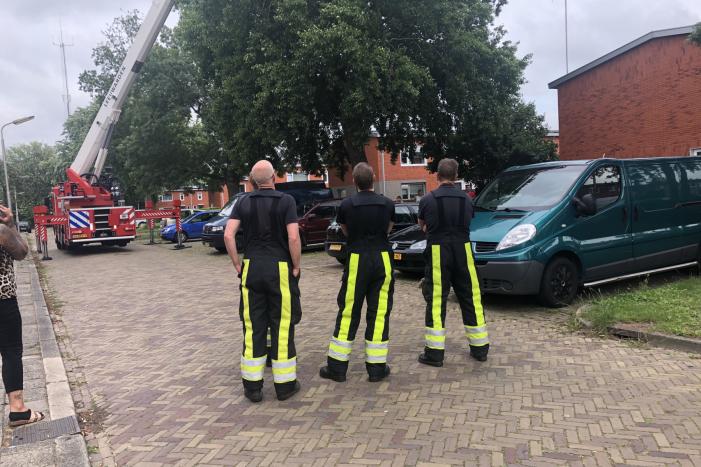 Papagaai met hoogwerker uit de boom gehaald