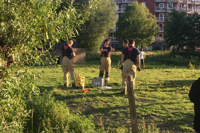 Paard belandt in sloot
