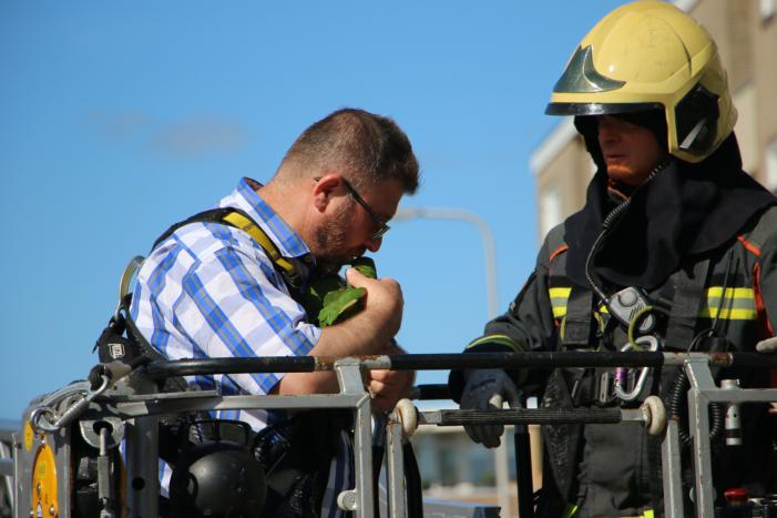 Papegaai uit boom gered