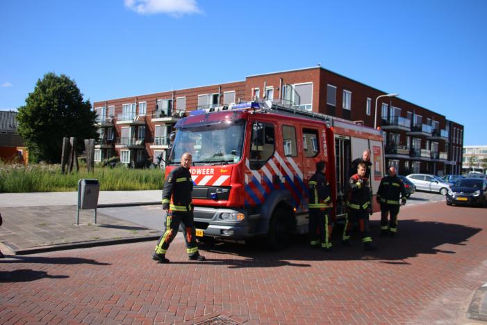 Papegaai uit boom gered