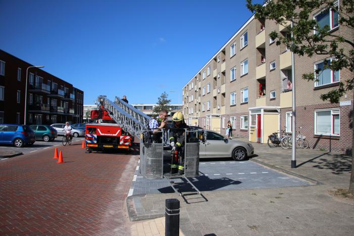 Papegaai uit boom gered