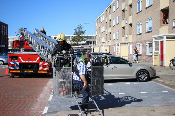 Papegaai uit boom gered