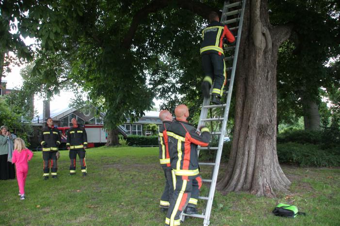 Kat uit boom gered