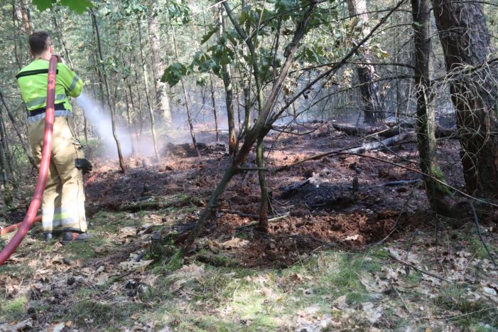 Flink stuk bos in brand