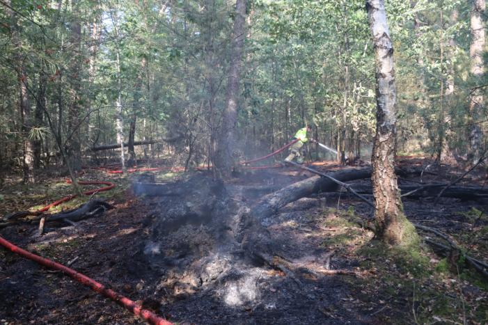 Flink stuk bos in brand