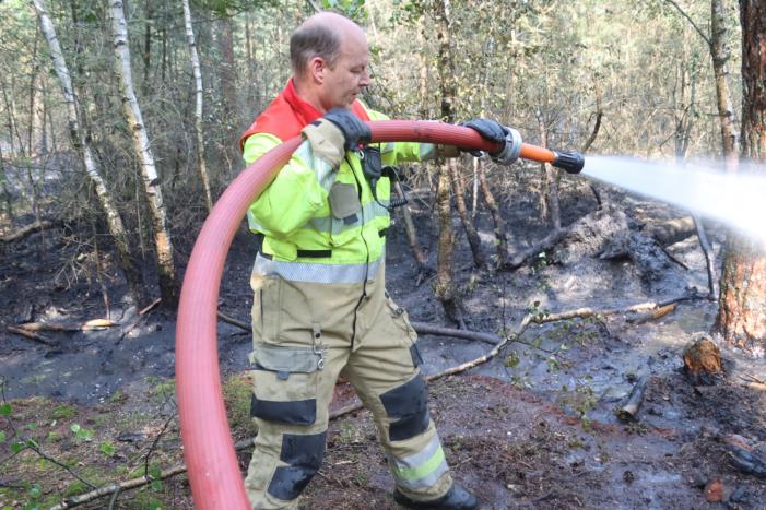 Flink stuk bos in brand