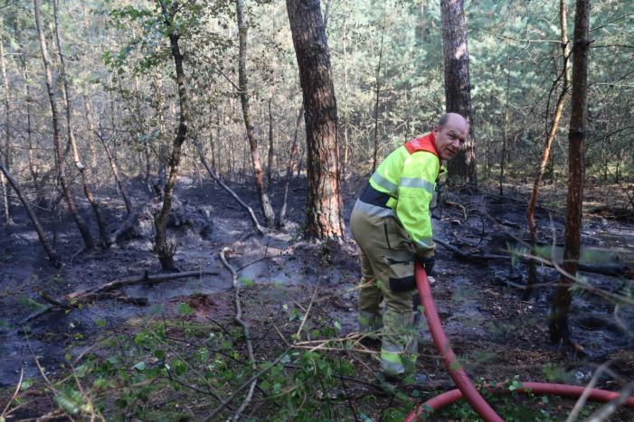 Flink stuk bos in brand