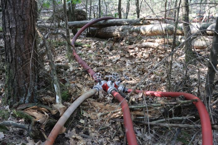 Flink stuk bos in brand