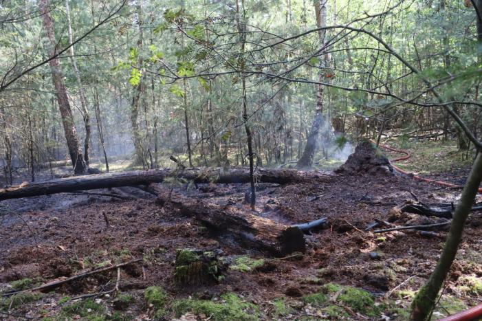 Flink stuk bos in brand