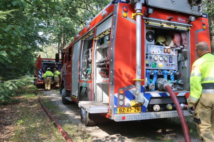 Flink stuk bos in brand