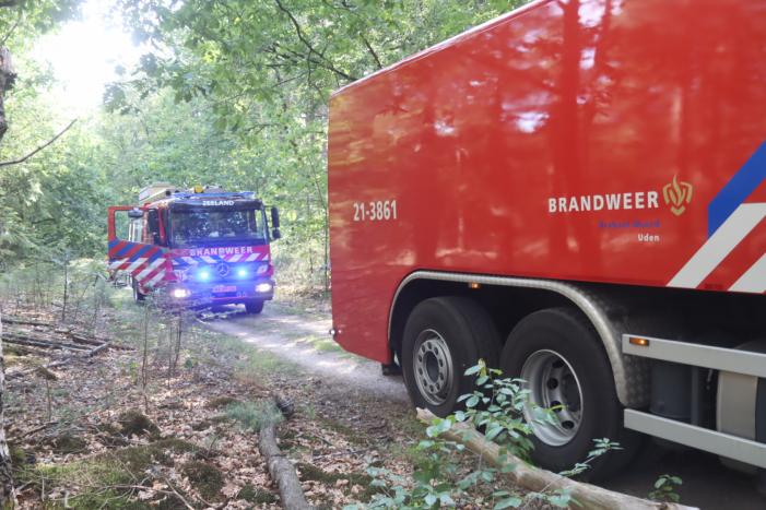 Flink stuk bos in brand