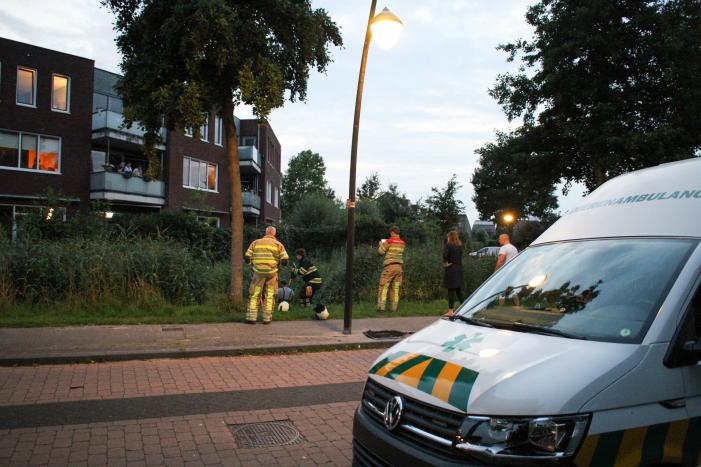Brandweer bevrijd vastzittende jonge zwaan