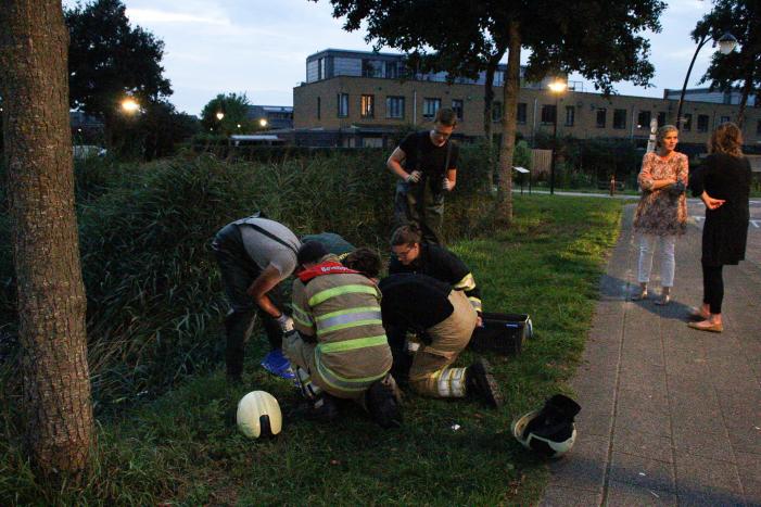 Brandweer bevrijd vastzittende jonge zwaan