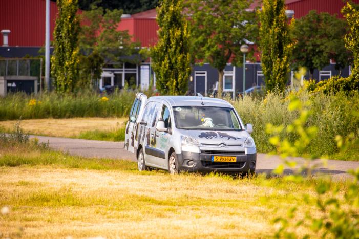 Man op leeftijd valt het water in