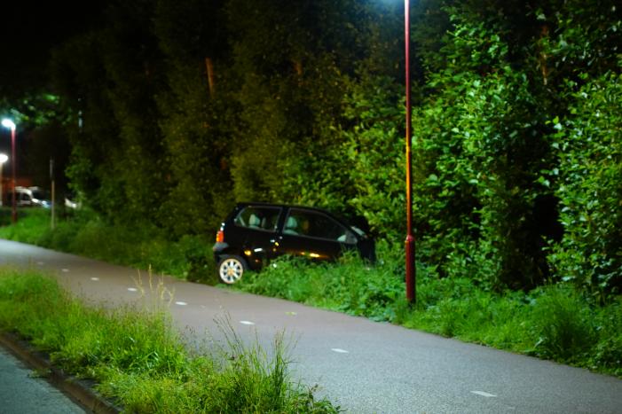 Auto raakt van de weg en belandt in struiken
