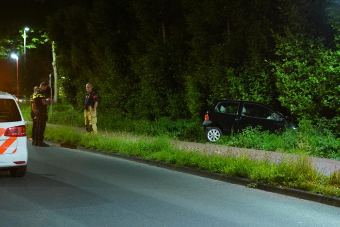 Auto raakt van de weg en belandt in struiken