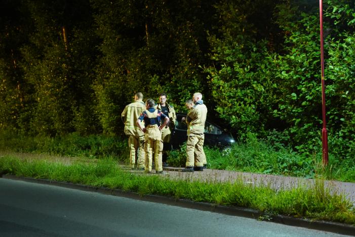 Auto raakt van de weg en belandt in struiken