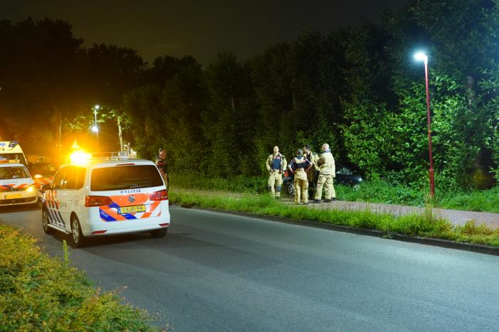 Auto raakt van de weg en belandt in struiken