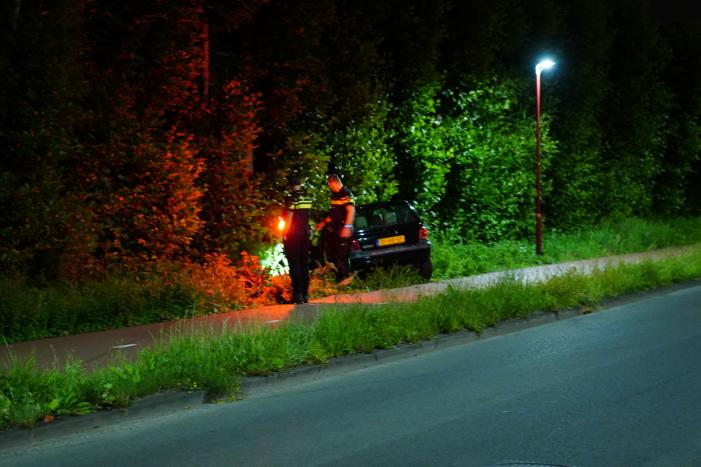 Auto raakt van de weg en belandt in struiken