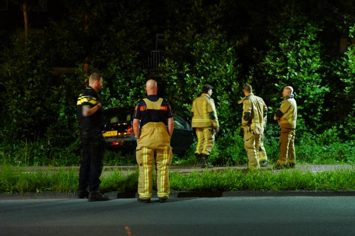 Auto raakt van de weg en belandt in struiken
