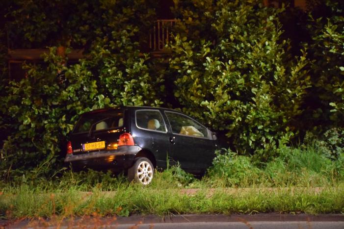 Auto raakt van de weg en belandt in struiken
