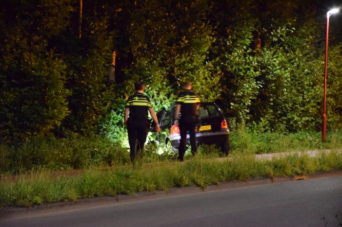Auto raakt van de weg en belandt in struiken