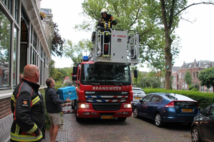 Vastzittende vogel door brandweer uit boom bevrijdt