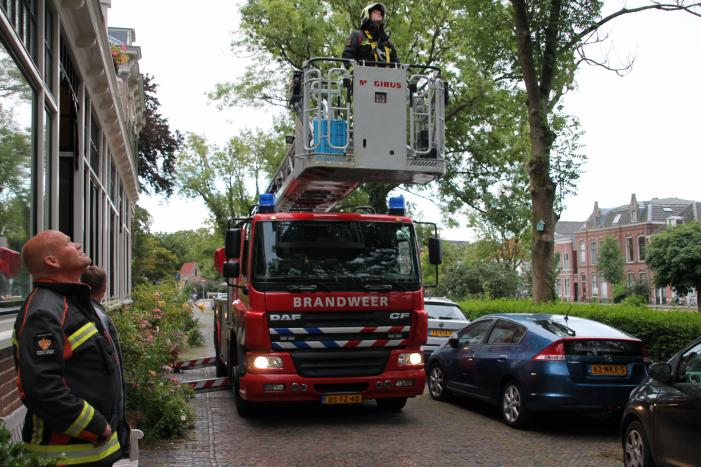 Vastzittende vogel door brandweer uit boom bevrijdt