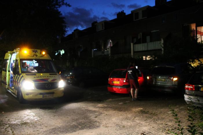 Auto botst op twee geparkeerde auto's en belandt in achtertuin
