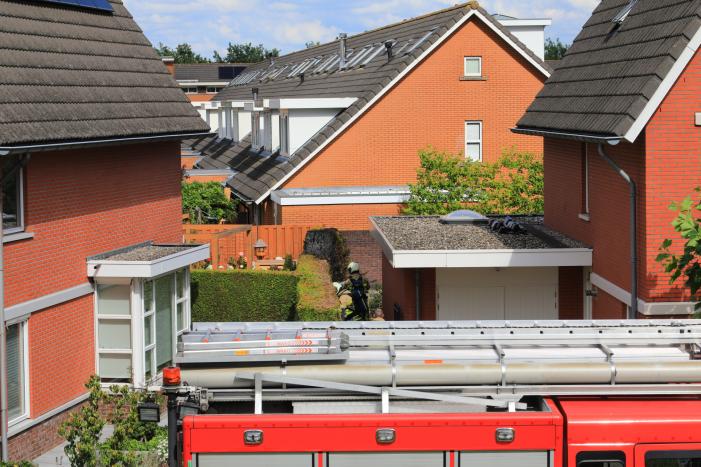 Onkruidbrander zet coniferenhaag in de brand