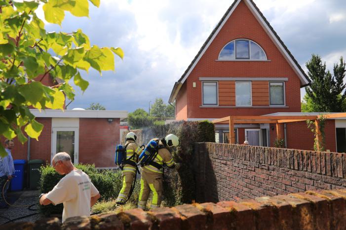 Onkruidbrander zet coniferenhaag in de brand
