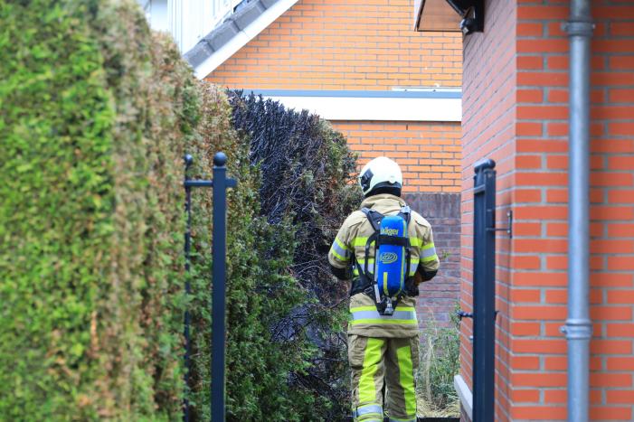 Onkruidbrander zet coniferenhaag in de brand