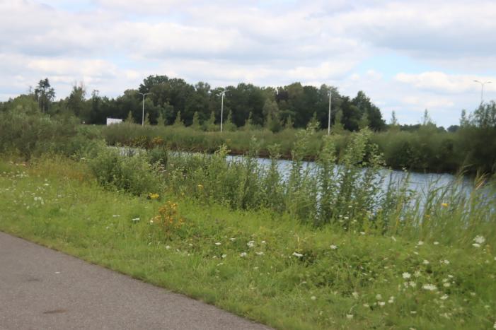 Auto raakt van de weg en belandt in sloot, bestuurder overleden