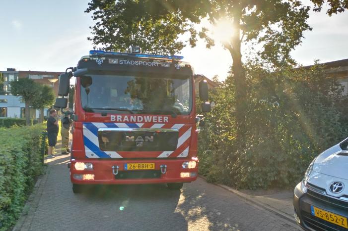 Coniferenhaag in brand