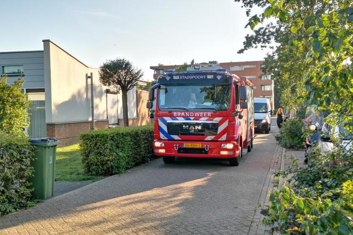 Coniferenhaag in brand