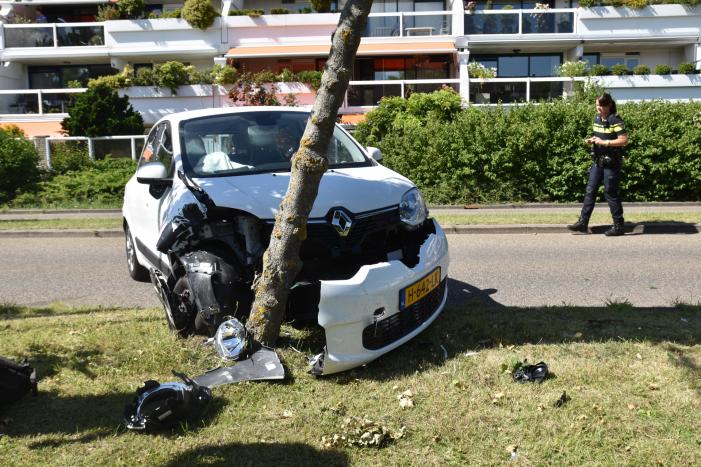 Auto raakt van de weg en knalt vol op boom