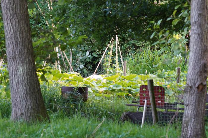 Man overleden na val in sloot Wollefoppenpark