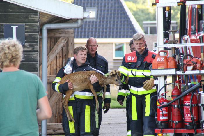 Ree bevrijdt onder boothuis